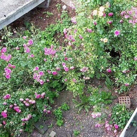 塞拉耶佛Mija公寓 外观 照片