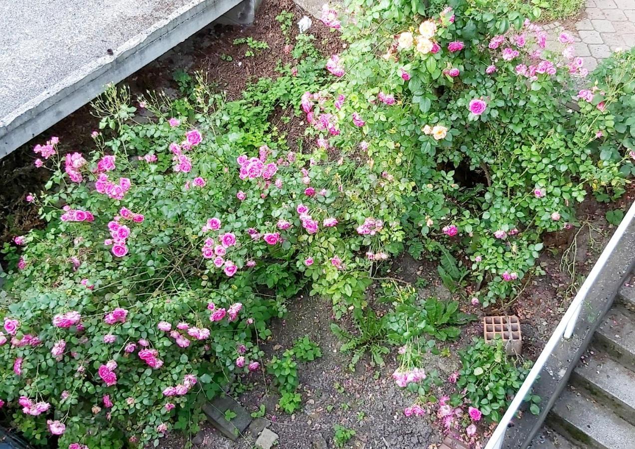 塞拉耶佛Mija公寓 外观 照片